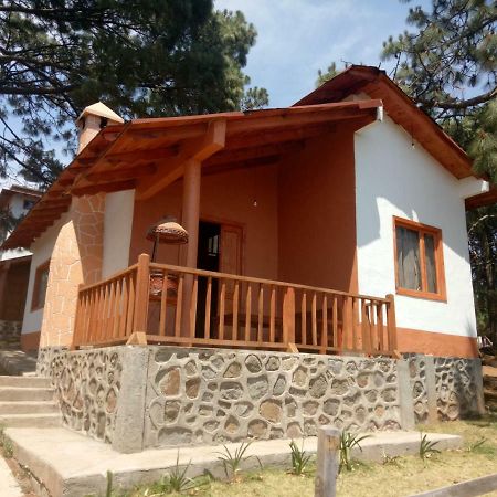 Cabanas Del Bosque Villa มาซามิตลา ภายนอก รูปภาพ