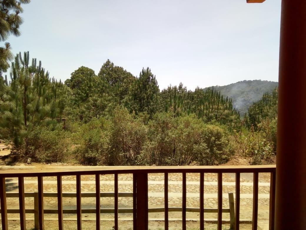 Cabanas Del Bosque Villa มาซามิตลา ภายนอก รูปภาพ