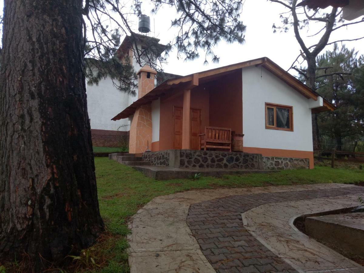 Cabanas Del Bosque Villa มาซามิตลา ภายนอก รูปภาพ